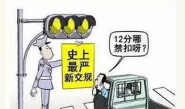 吃瓜爆料违不违法呀,法律边界与道德考量的双重审视