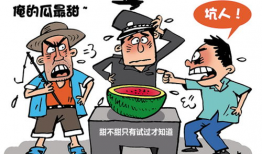 吃瓜爆料红领巾不迷路,吃瓜爆料中的方向指南